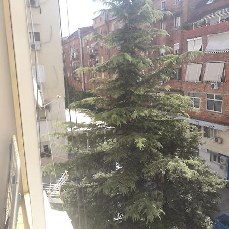 Jolie Center Apartment Tirana Kültér fotó